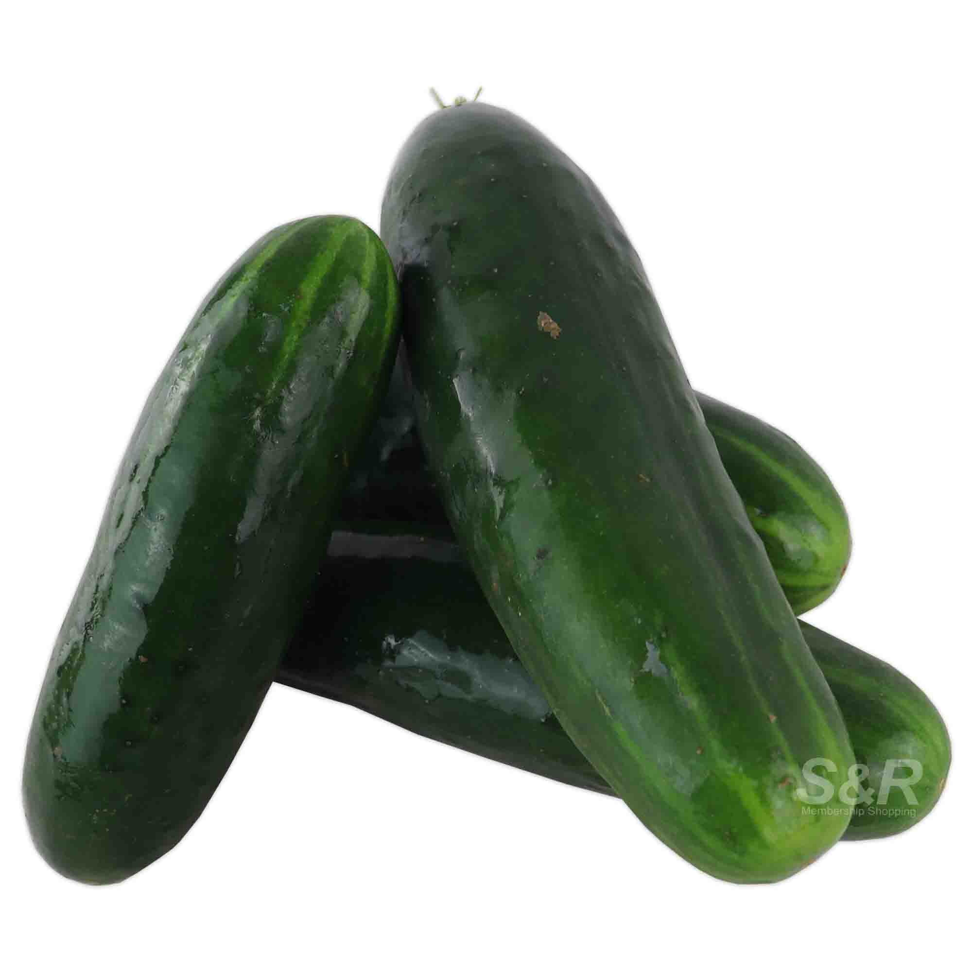 Organic Cucumber approx. 1kg